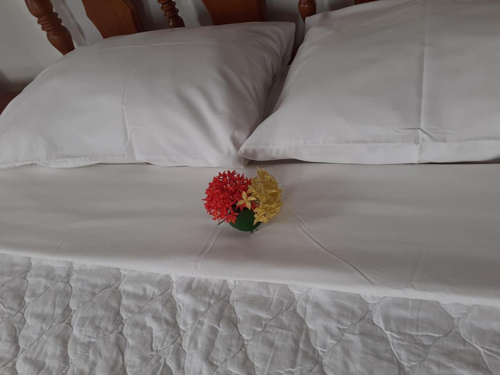 Gigi'S Self Catering Apartment ポート・グロード エクステリア 写真