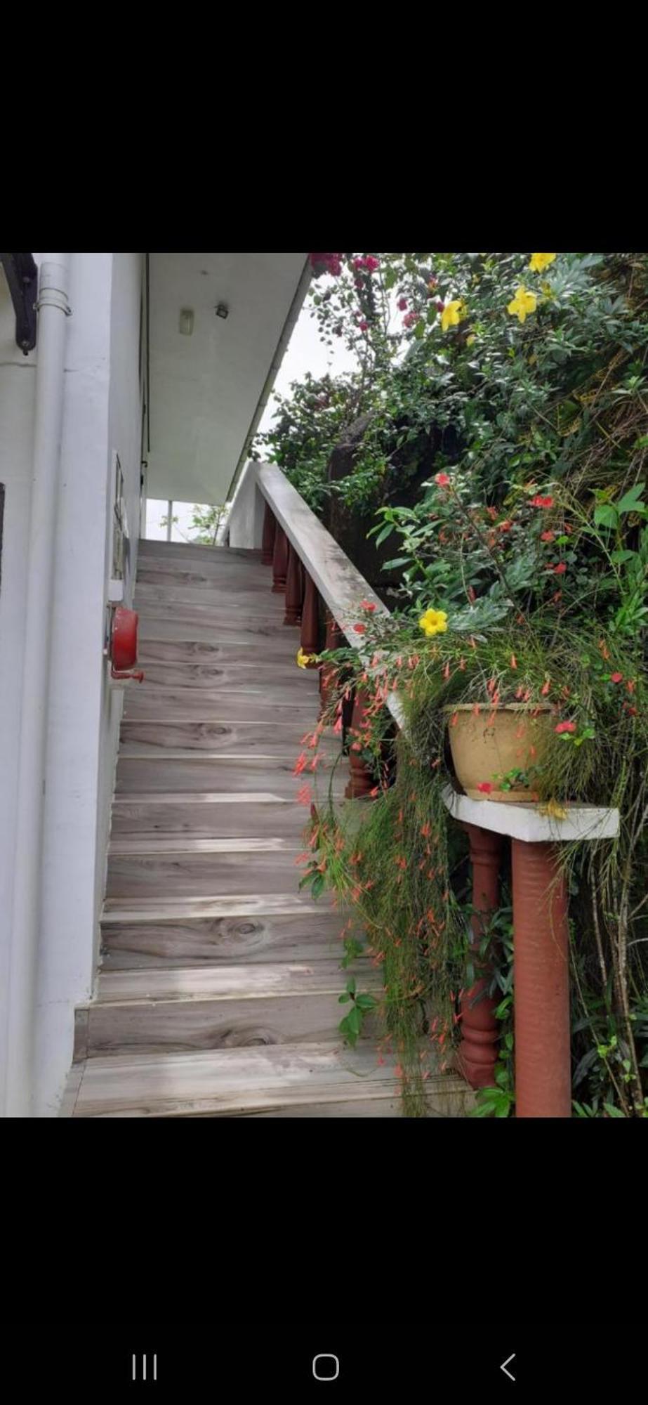 Gigi'S Self Catering Apartment ポート・グロード エクステリア 写真